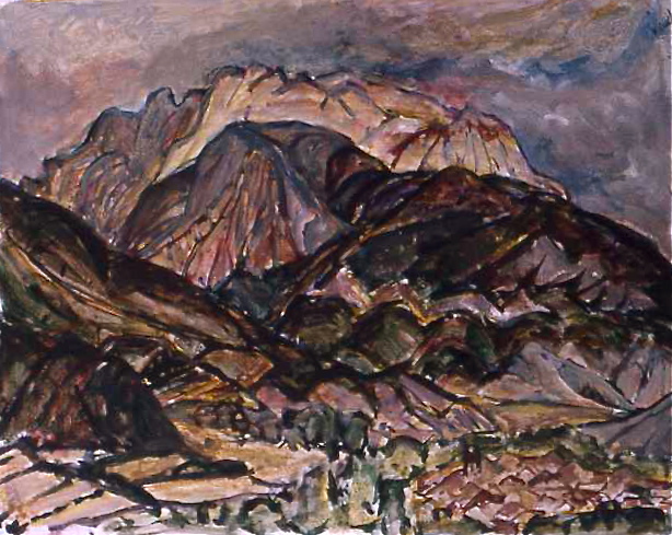 CAMPO (Spanish Pyrennees) acrylic on paper 60 x 70 cm 