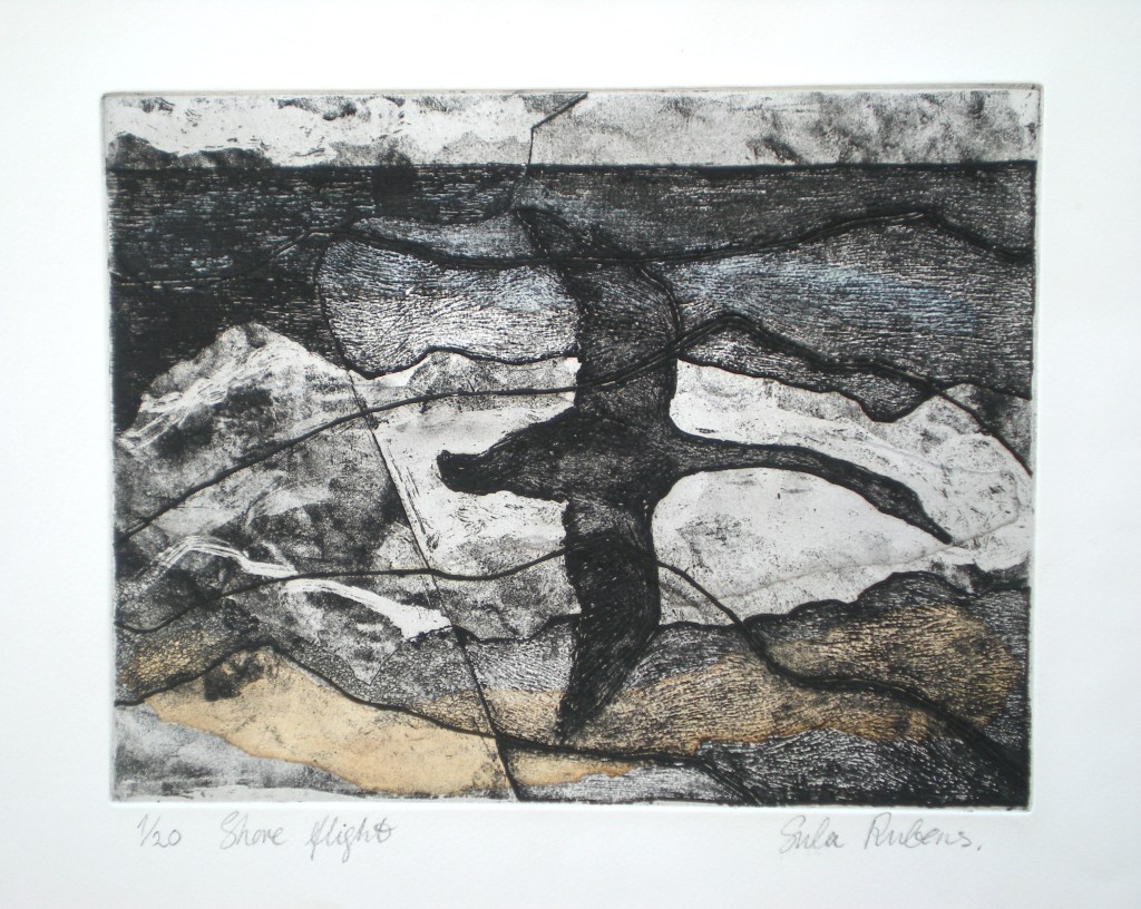 SHORE FLIGHT ETCHING (chine colle) 23 x 30 cm